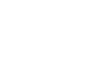 Megafleet